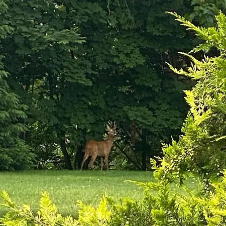 Restauracja Cztery Pory Roku 3* Orneta