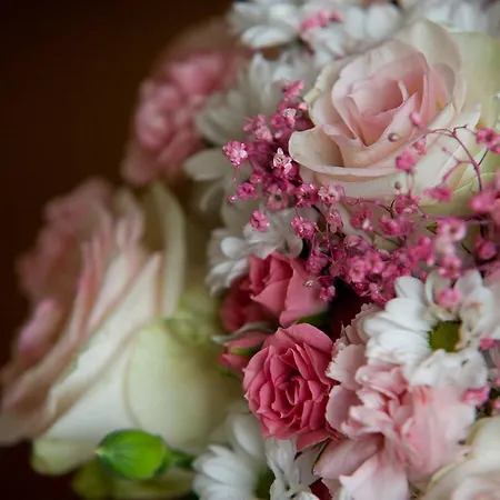 Hotel Restauracja Cztery Pory Roku 3*