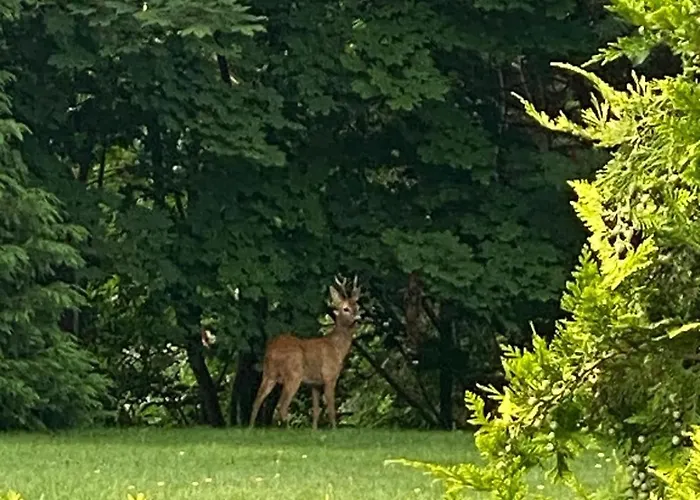 Restauracja Cztery Pory Roku 3* Orneta